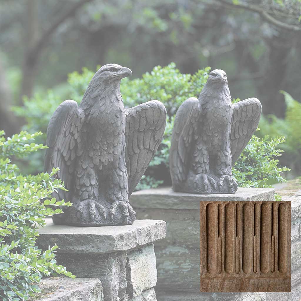 Eagle Looking Left and Right