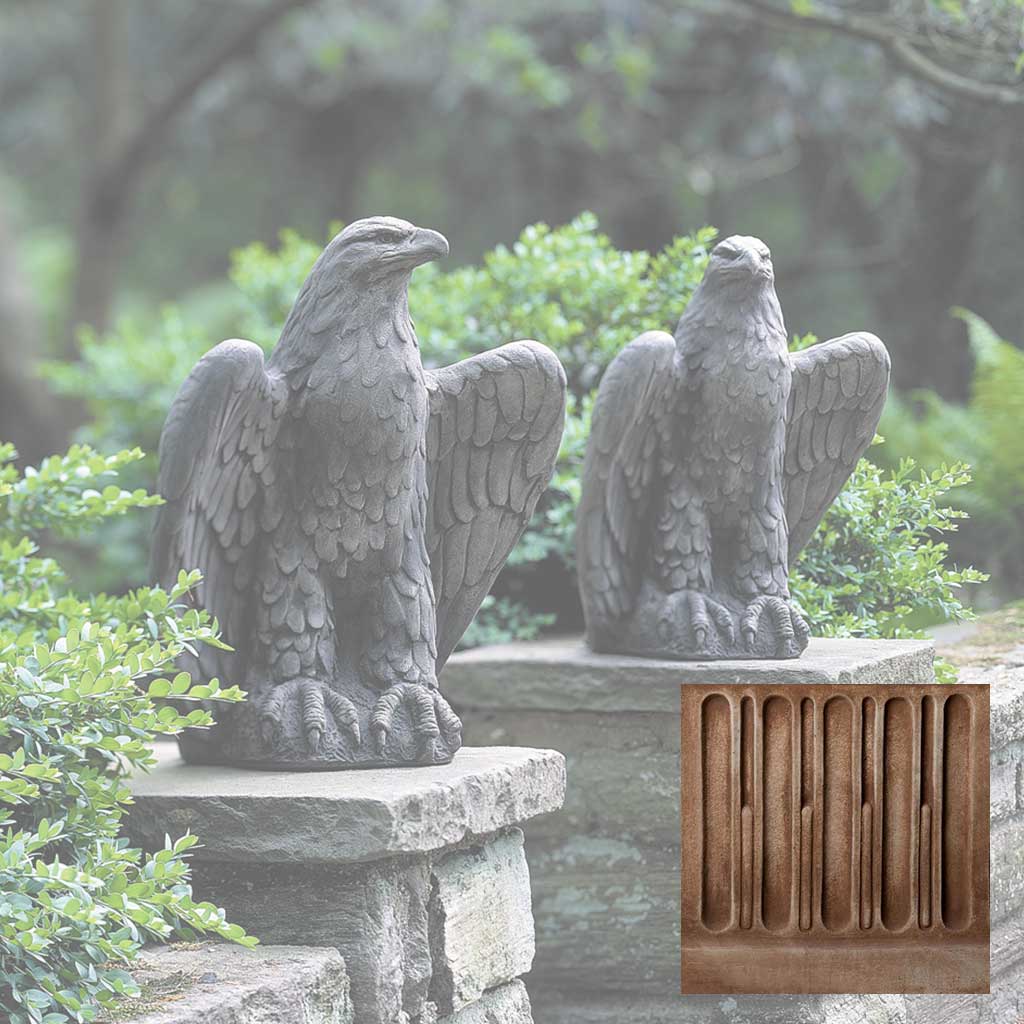 Eagle Looking Left and Right