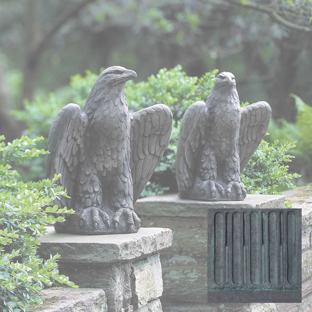 Eagle Looking Left and Right