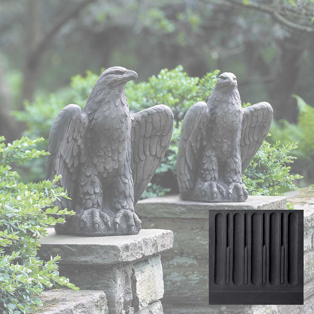 Eagle Looking Left and Right