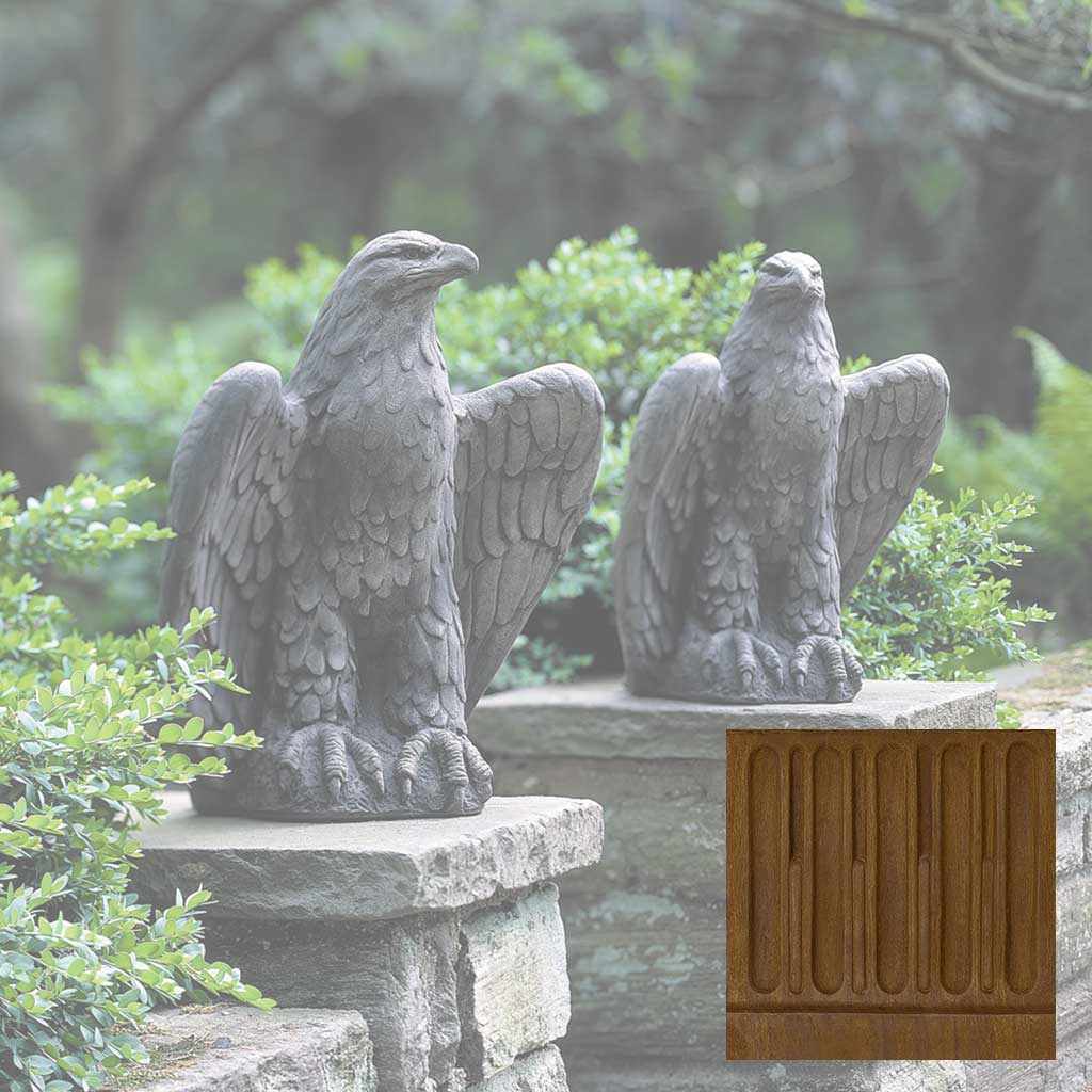 Eagle Looking Left and Right