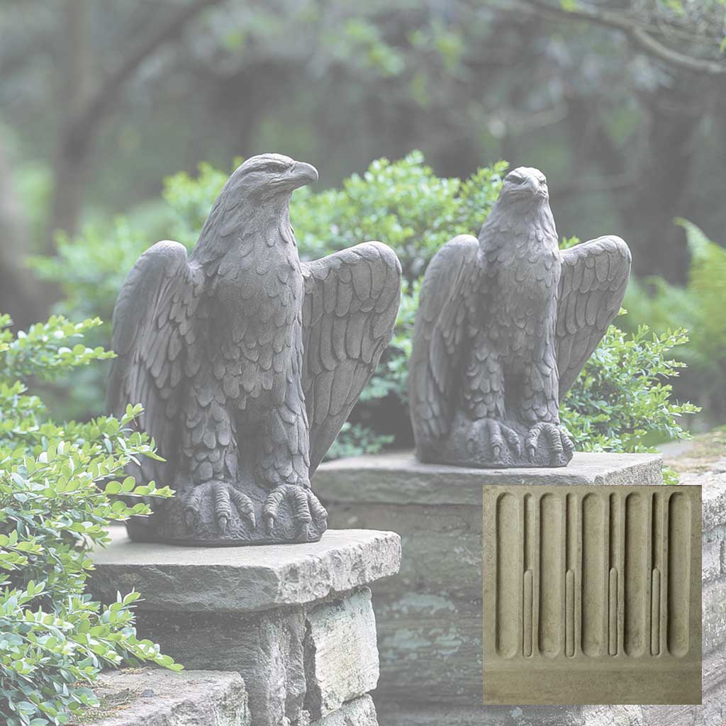Eagle Looking Left and Right