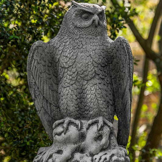 August Owl