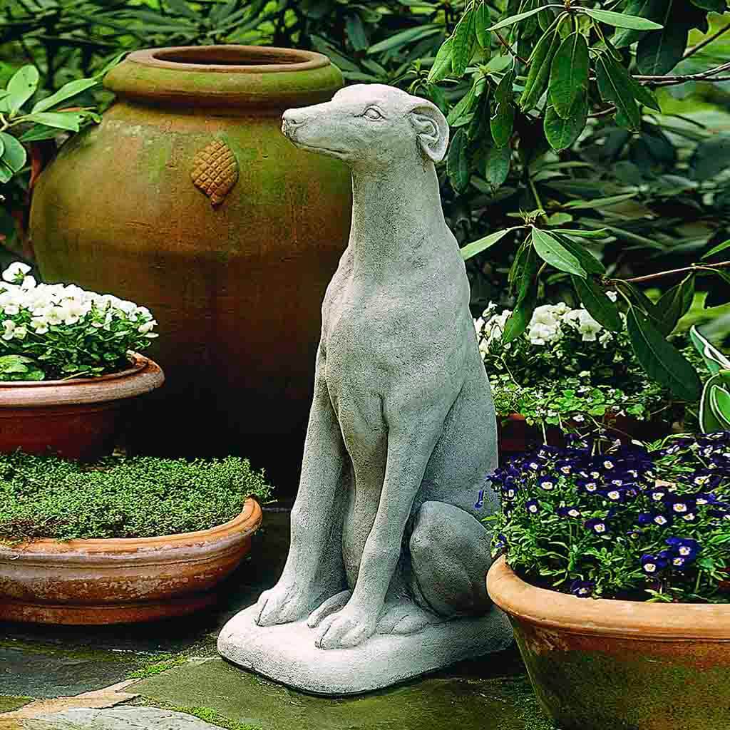 Greyhound
