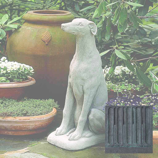 Greyhound