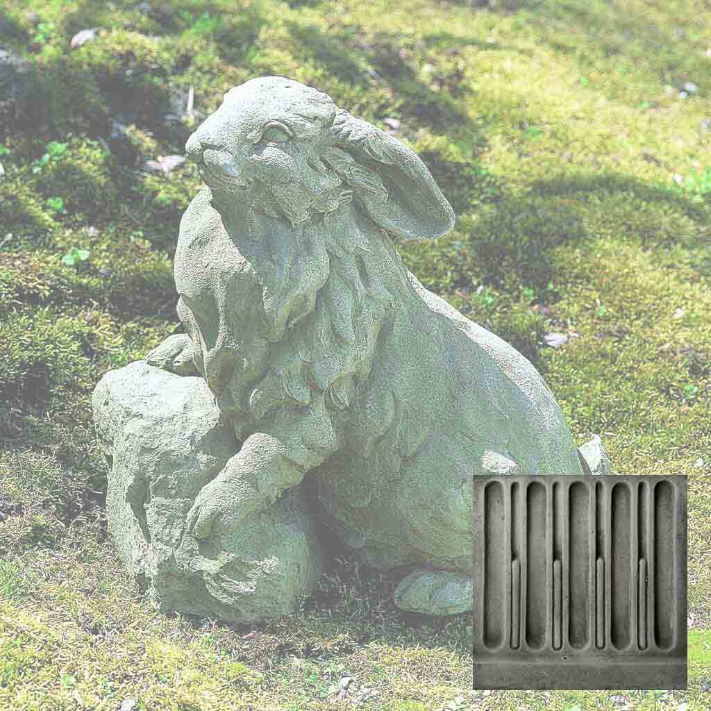 Rabbit on a Rock