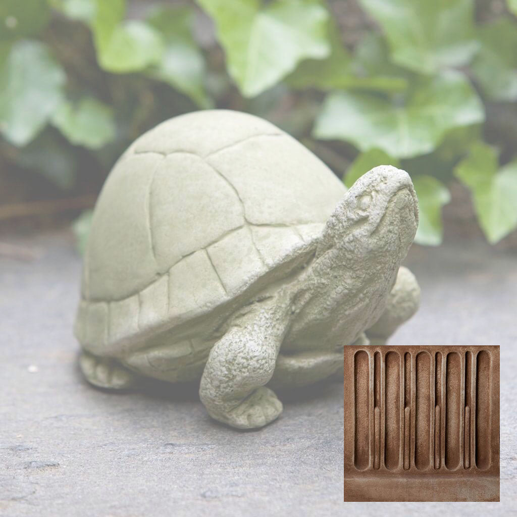 Box Turtle