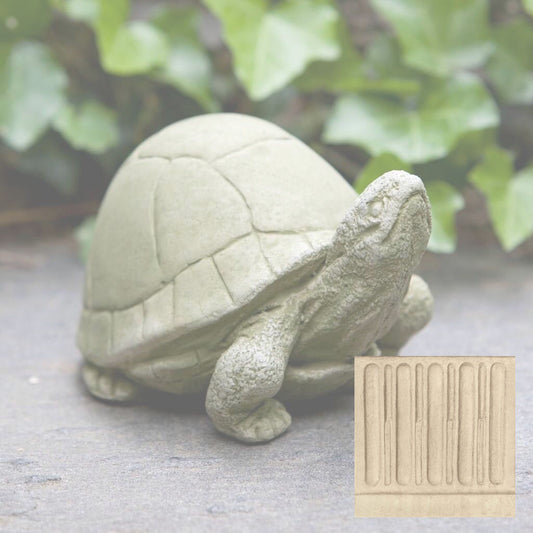 Box Turtle