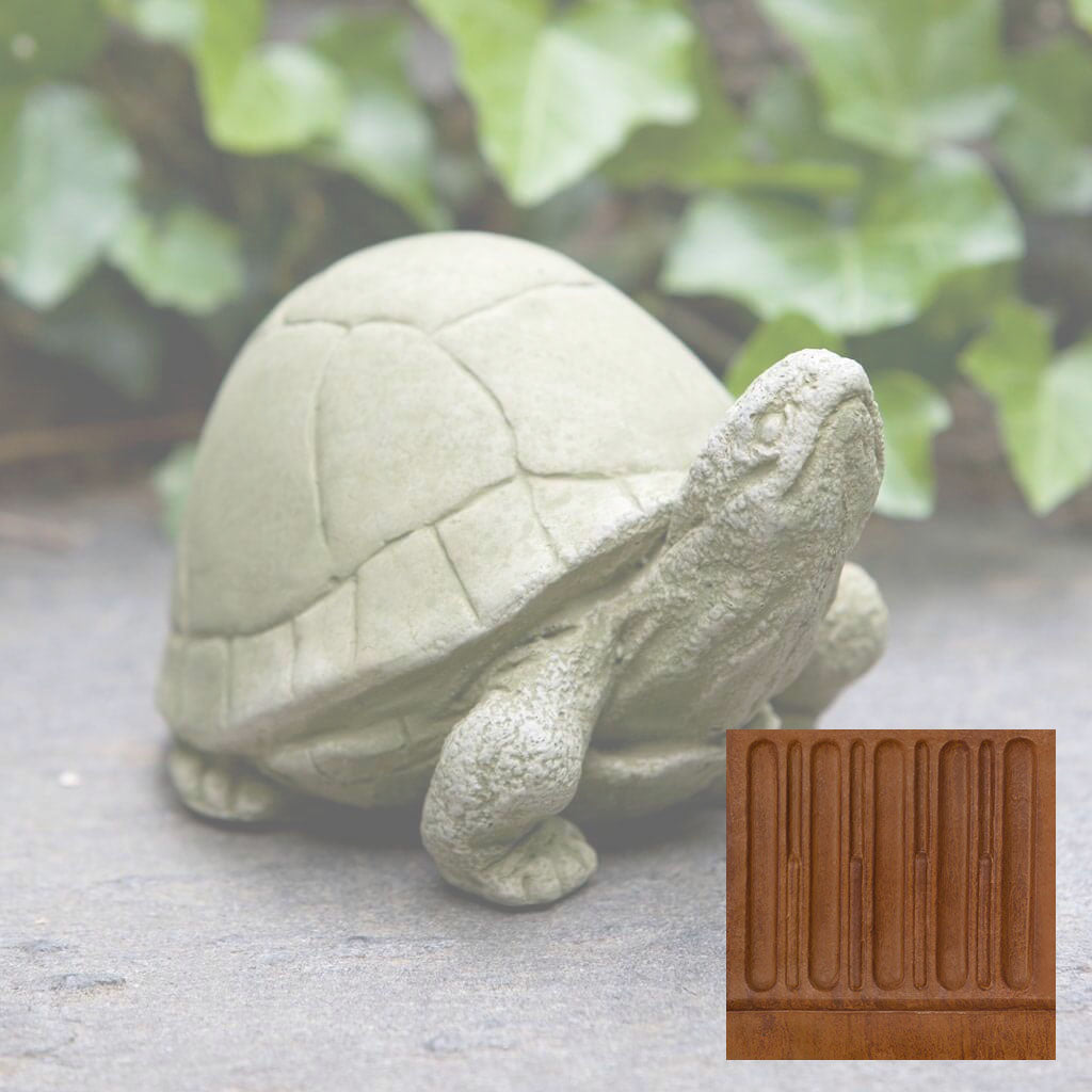 Box Turtle