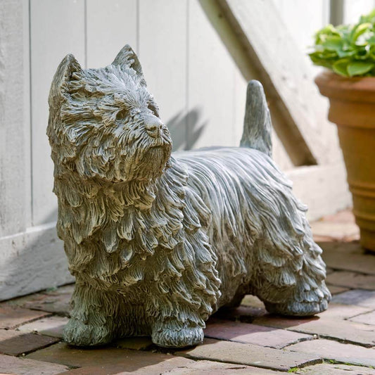Westie