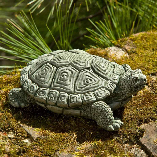 My Pet Turtle