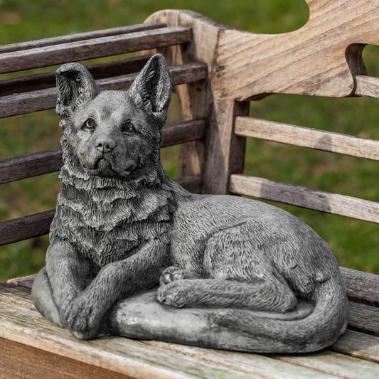 Shepherd Pup