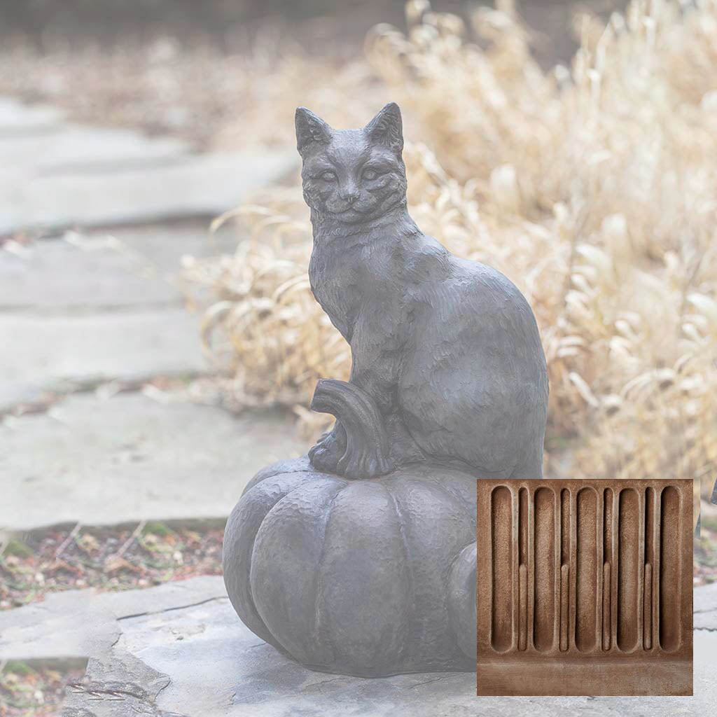 Cat on Pumpkin