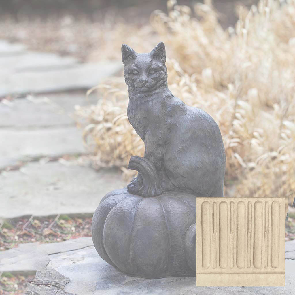 Cat on Pumpkin