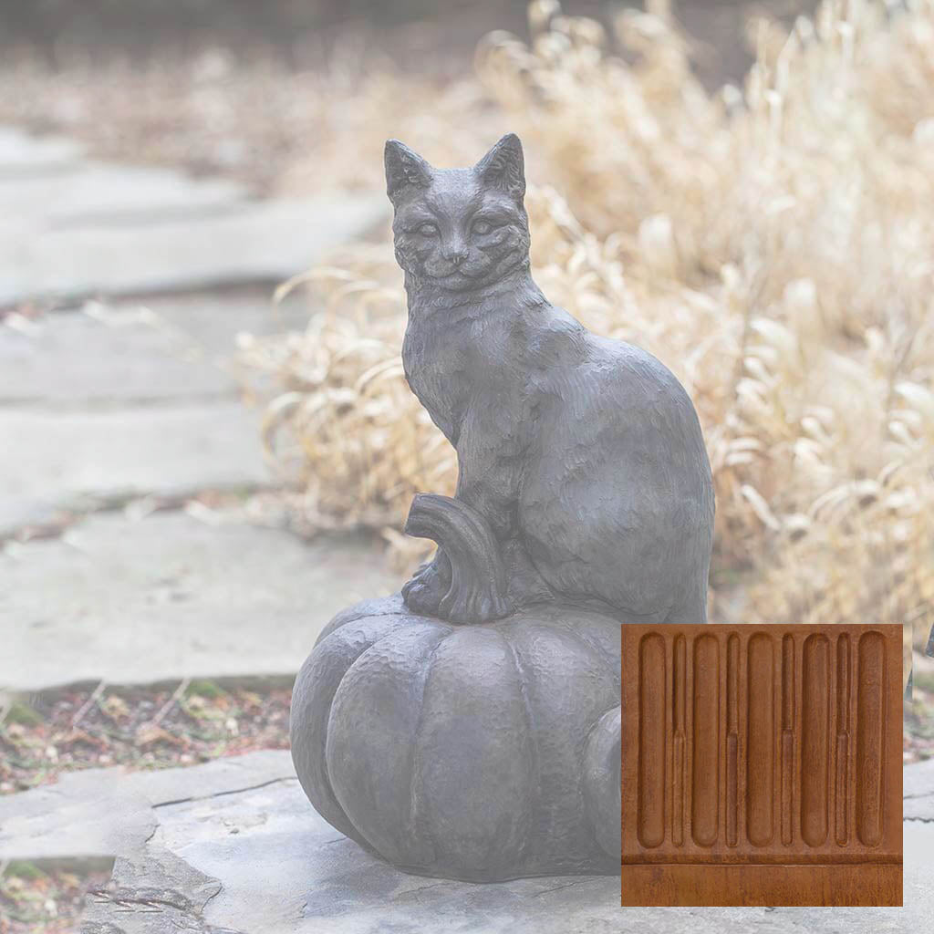Cat on Pumpkin