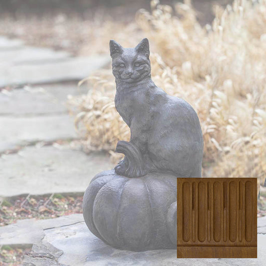 Cat on Pumpkin