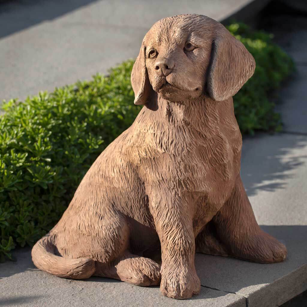 Golden Retriever Puppy
