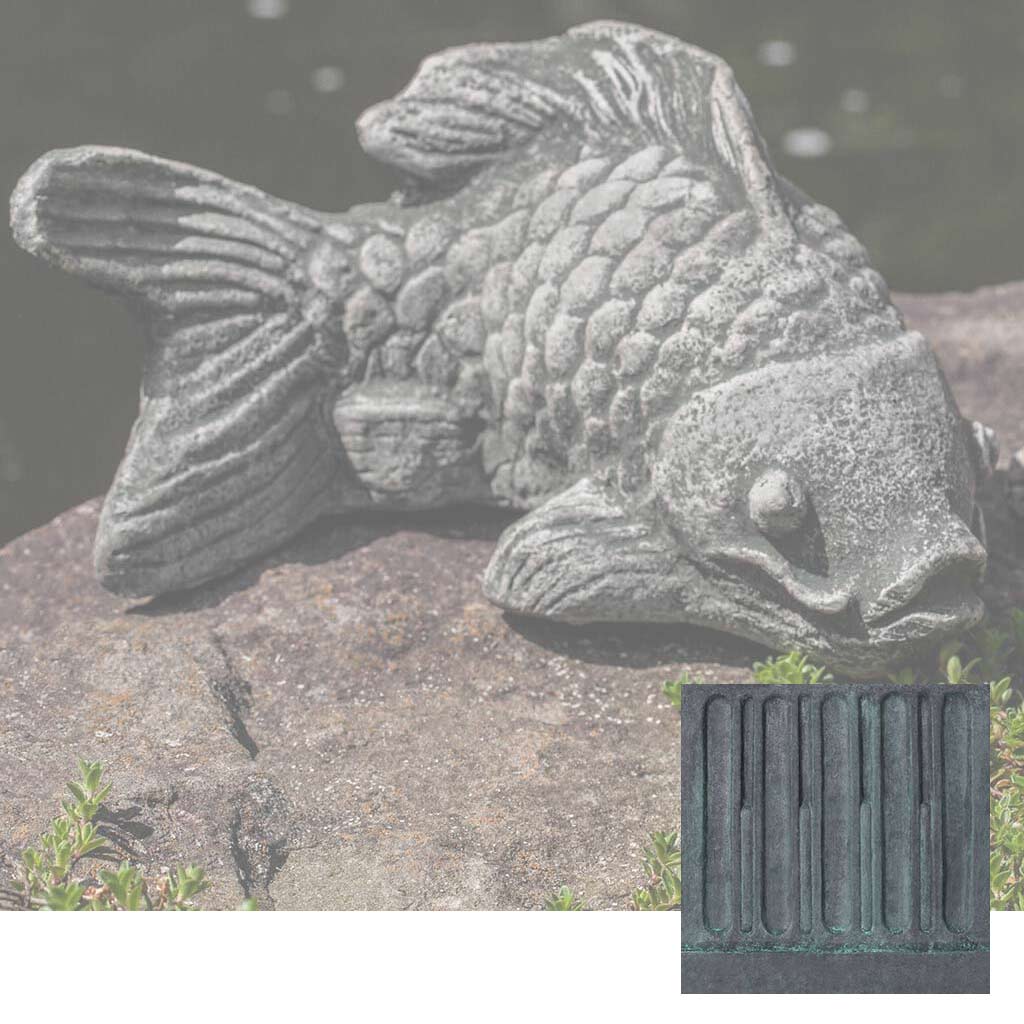 Coy Koi
