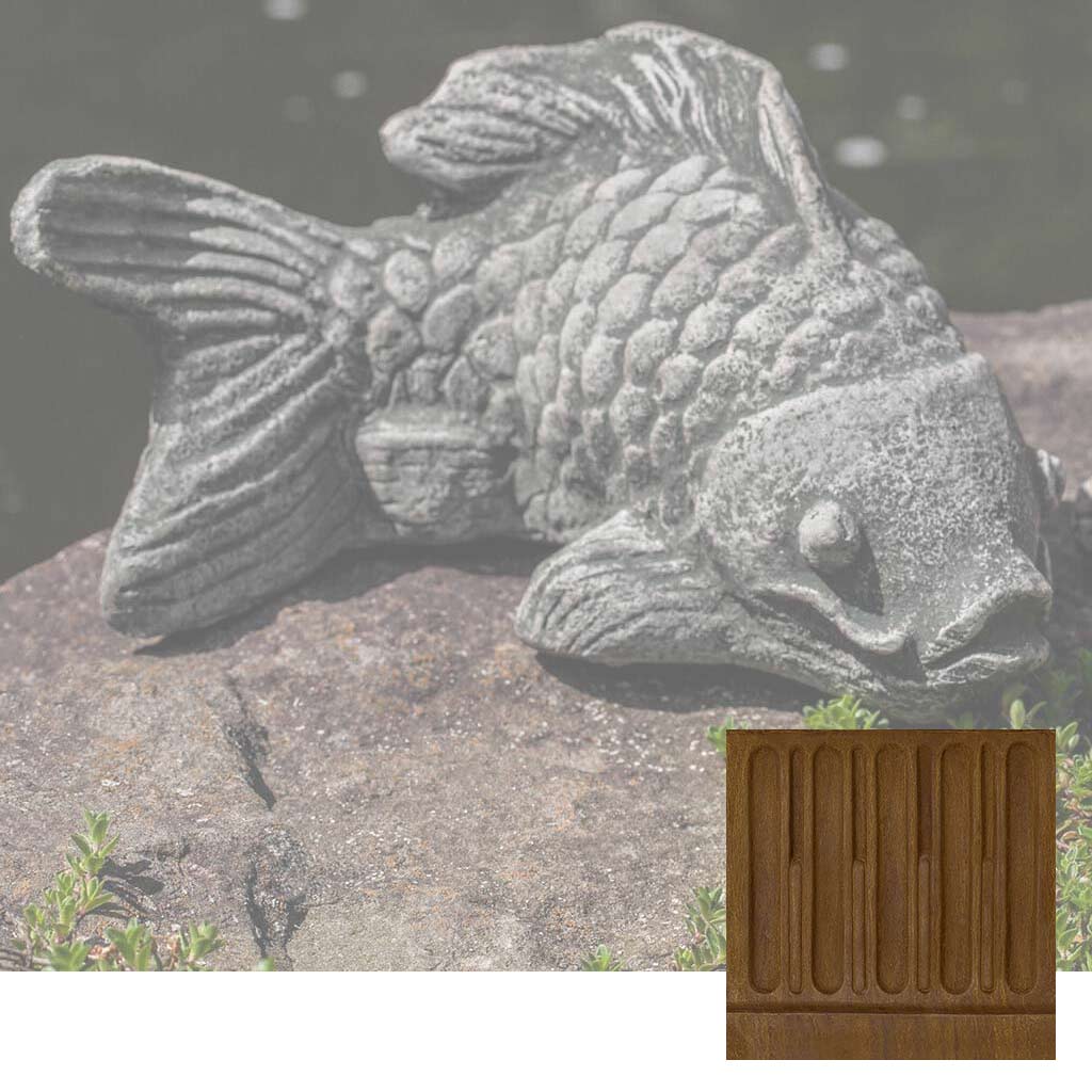Coy Koi