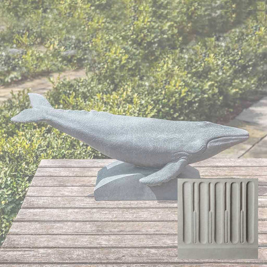 Humpback Whale