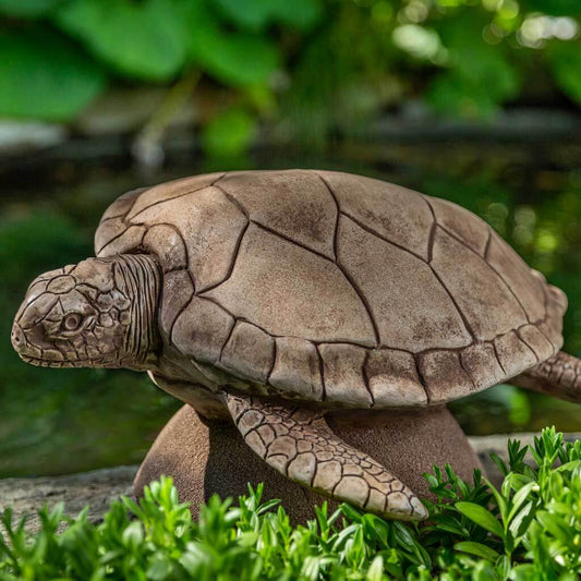 Large Sea Turtle