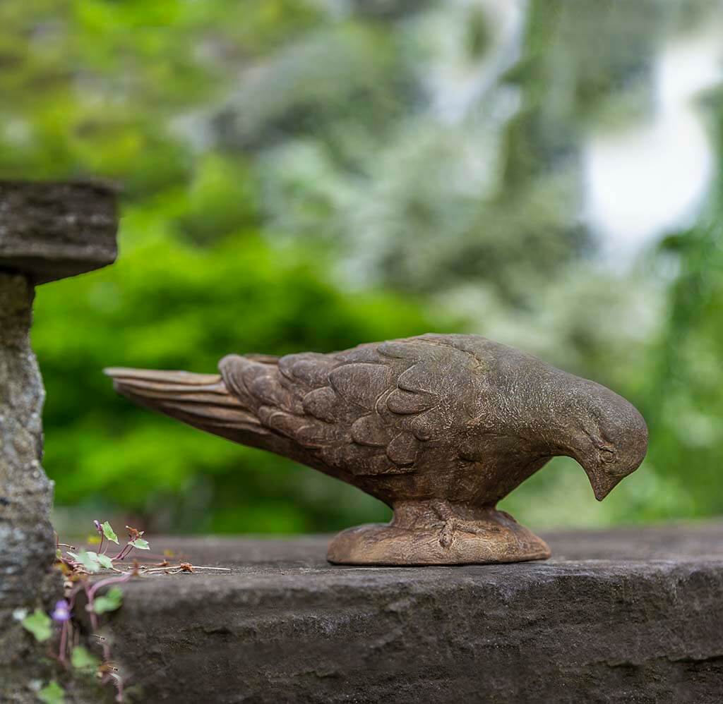French Dove