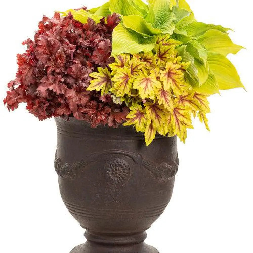 Fun and Games® Eye Spy Foamy Bells 1 GALLON Perennial