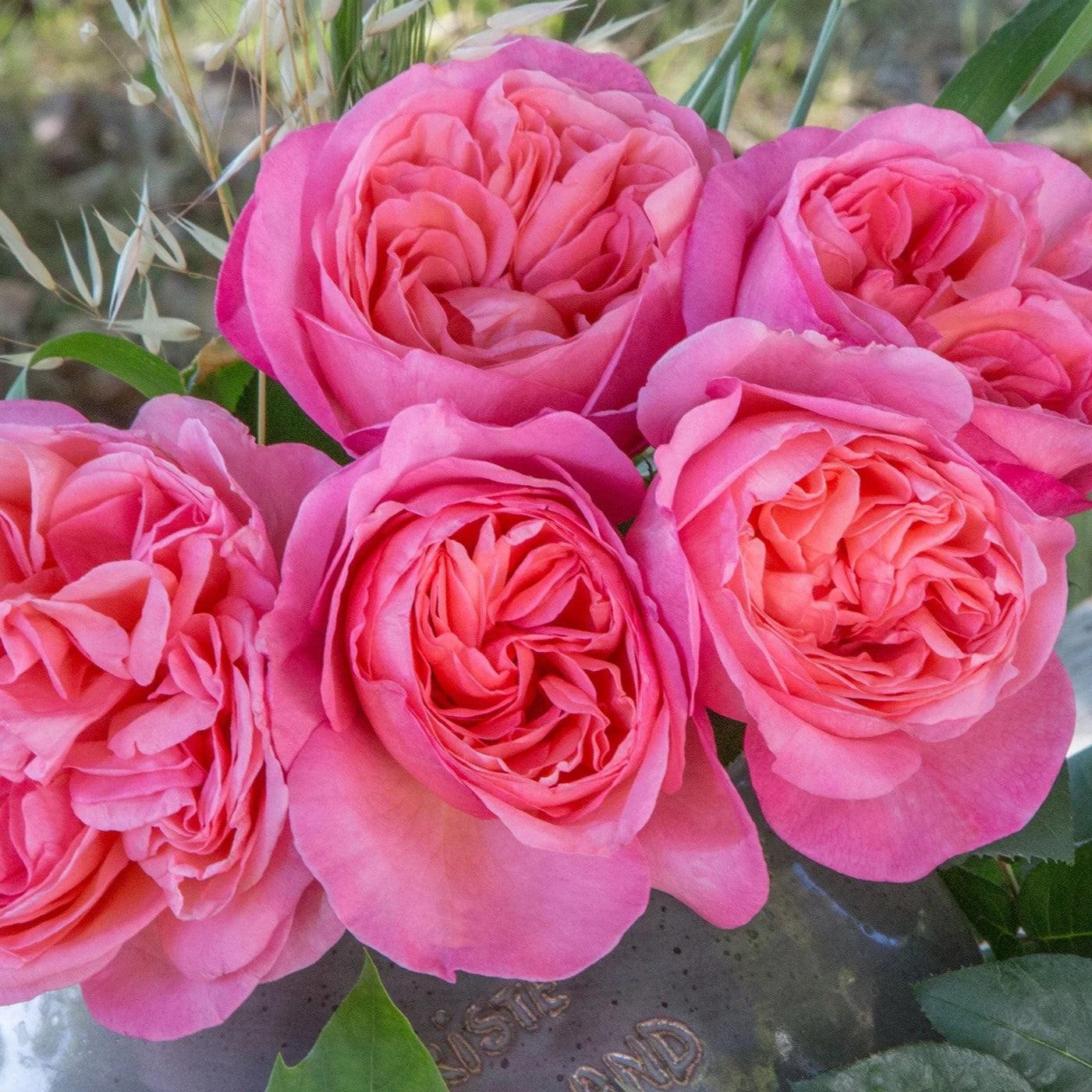 Bloomables® Sweet Mademoiselle™ Rose