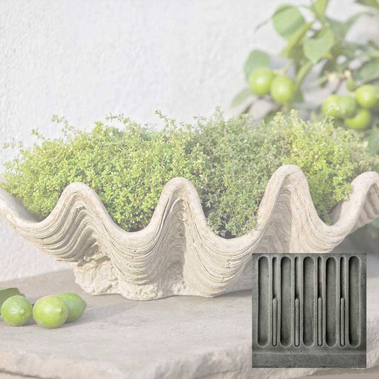 South Seas Planter