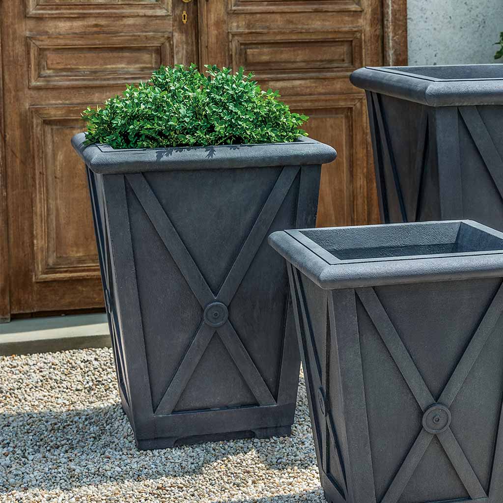 Directoire Planter, Medium