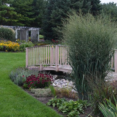 Prairie Winds® Totem Pole Switch Grass
