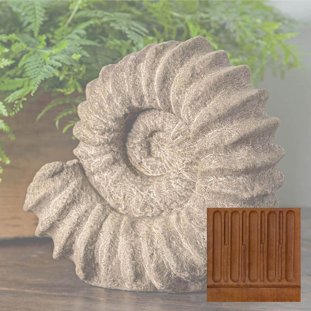 Sea Ammonite