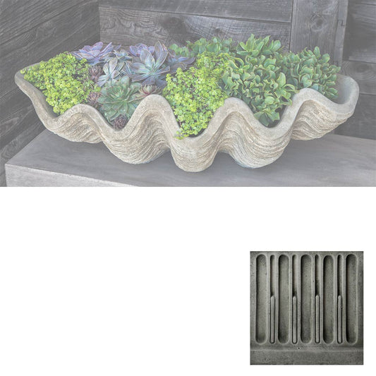 South Seas Shell Planter, Large